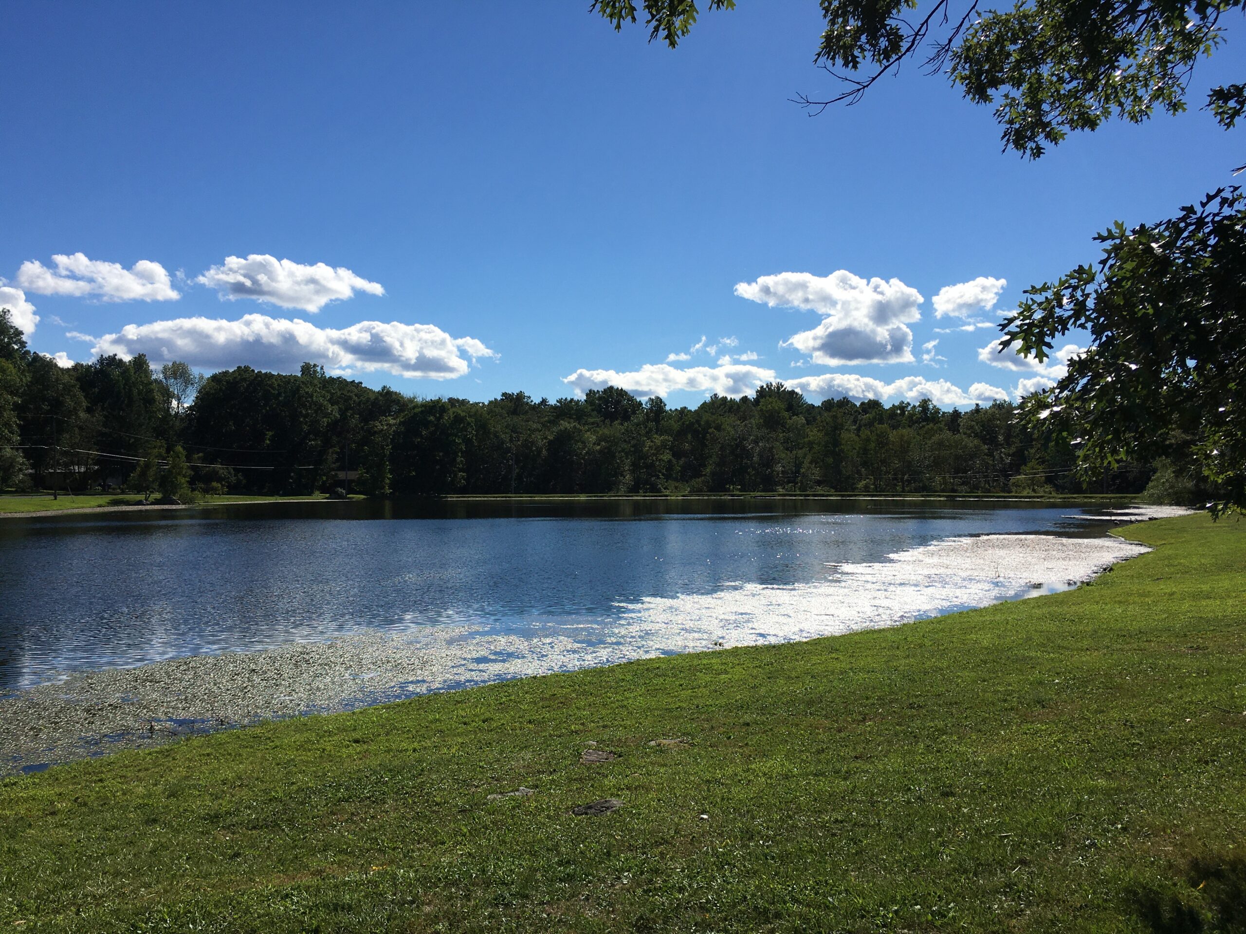 Laurel Lake in Pennsylvania