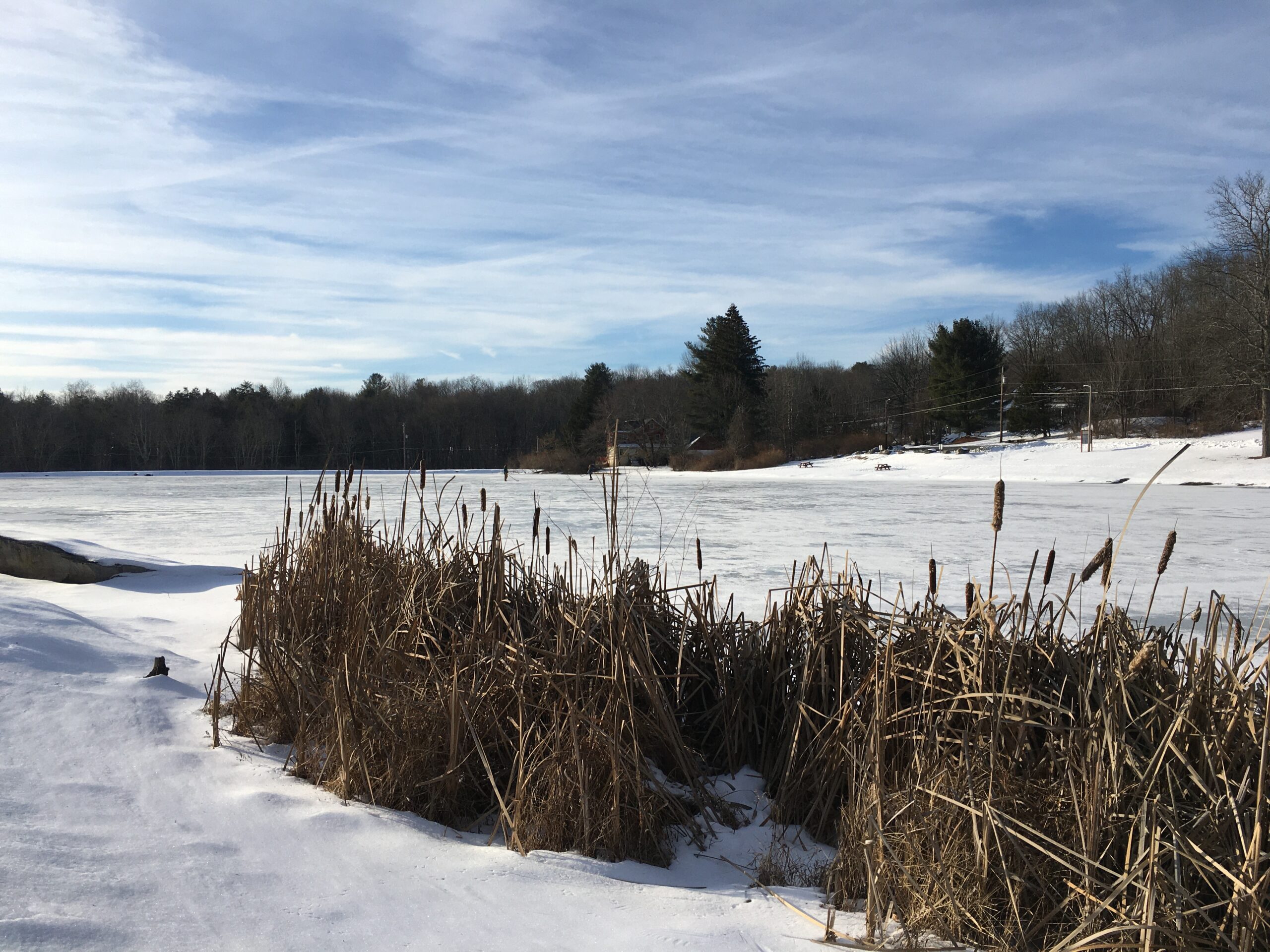 A Wintry Scene