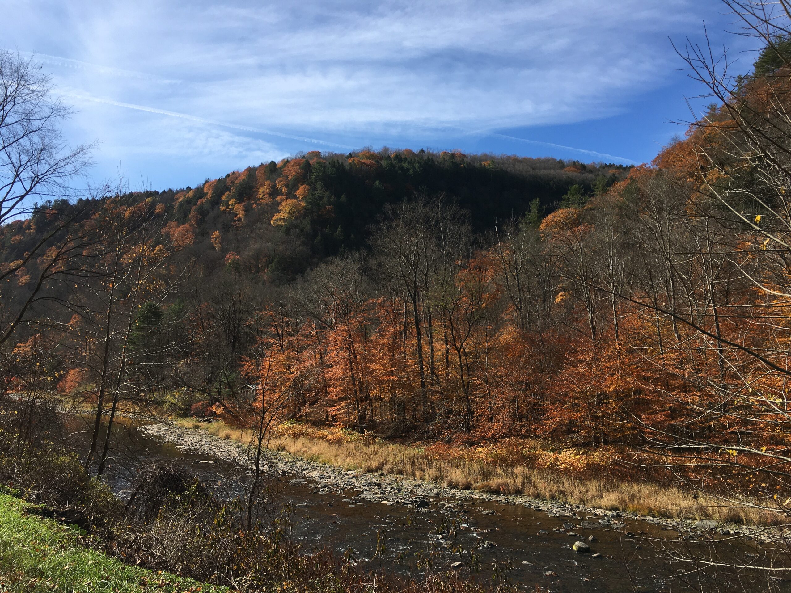 Pine Creek Gorge Leonard Harrison State Park