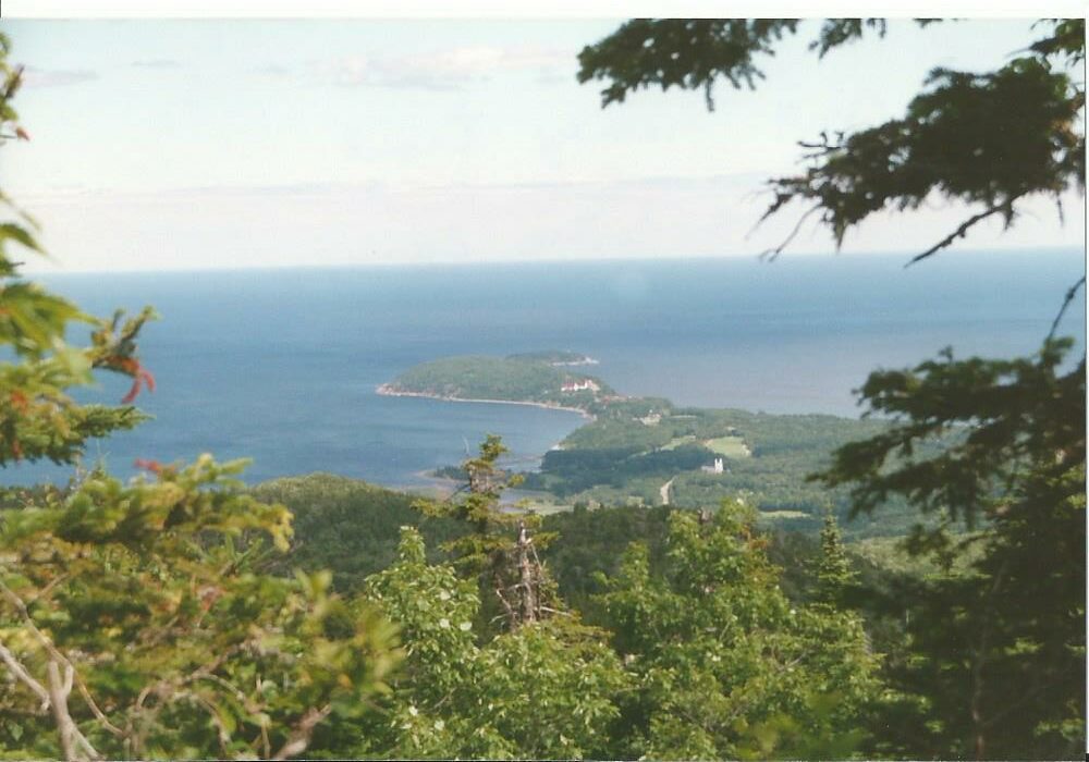 Forested mountains view of ocean in distance