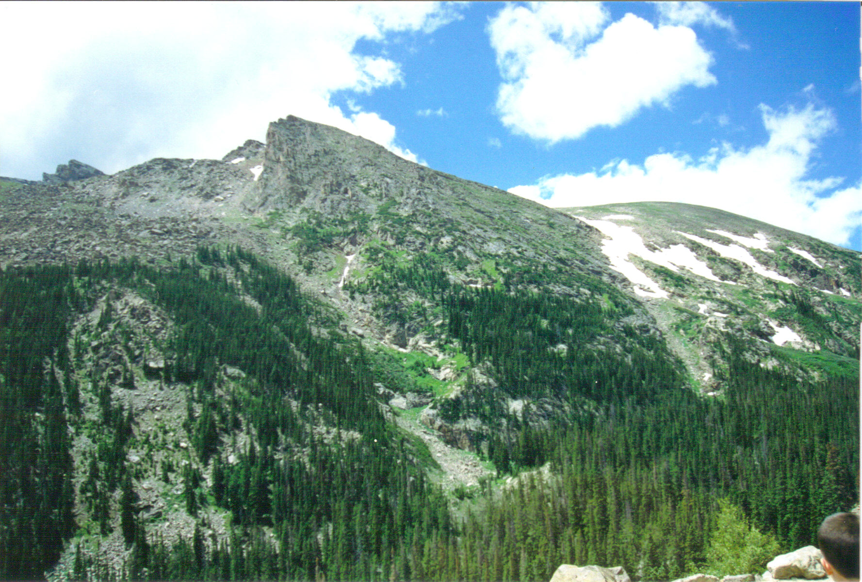 Top of Rocky Mountain National Park in Colorado. Bald rock above the pine forests