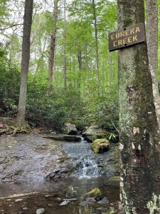 https://www.victoriamarielees.com/category/camping-with-five-kids/