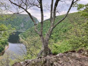 https://www.victoriamarielees.com/category/camping-with-five-kids/